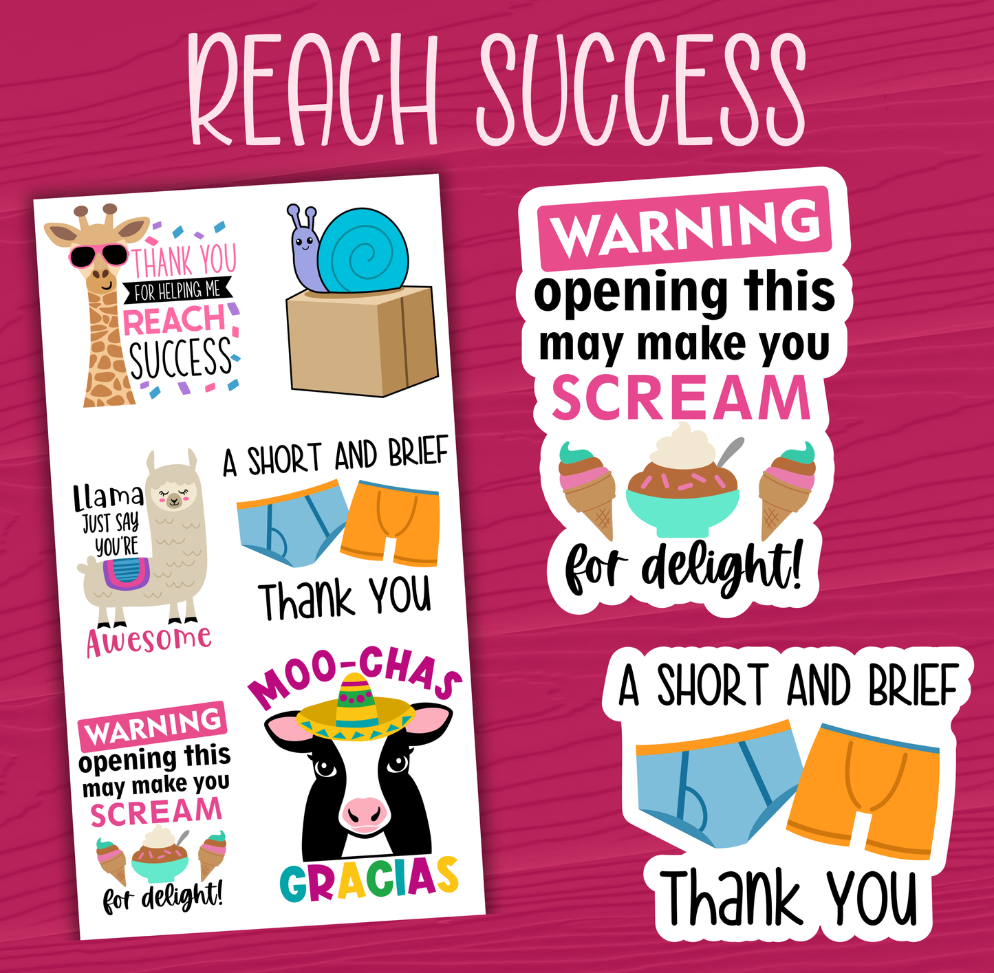 Reach Success Stickers