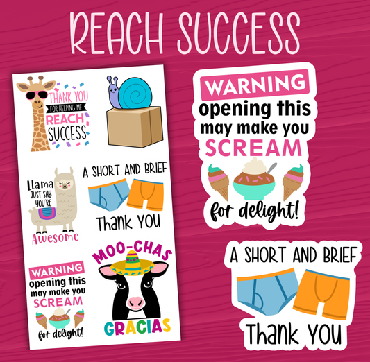 Reach Success Stickers